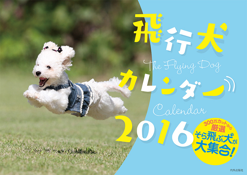 カレンダー 飛行犬カレンダー16 News またねデザイン株式会社